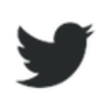 twitter logo